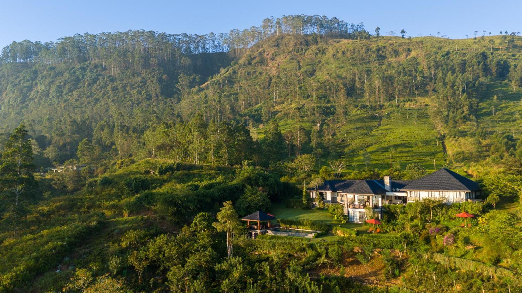 Hotel Camellia Hills Hatton Exterior foto