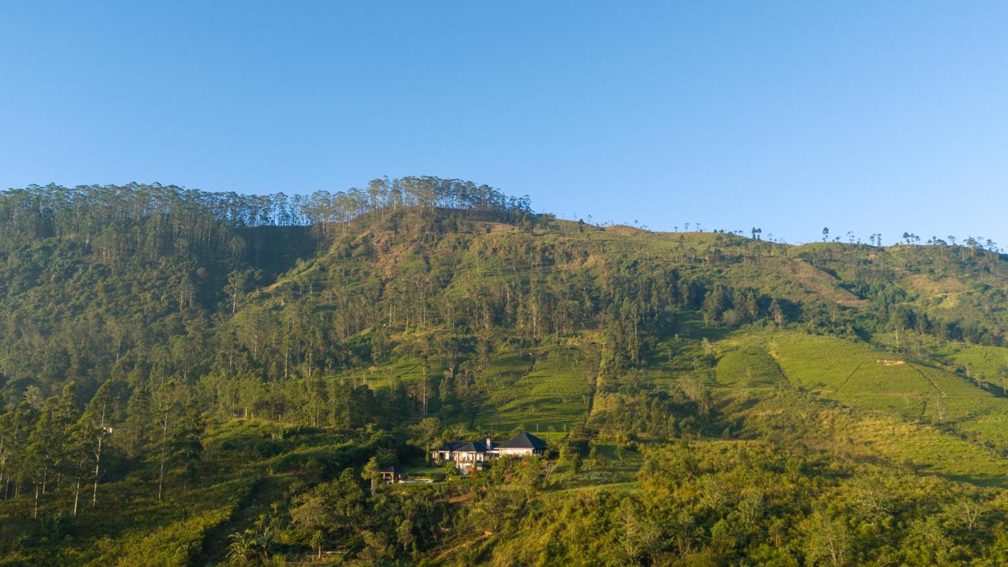 Hotel Camellia Hills Hatton Exterior foto