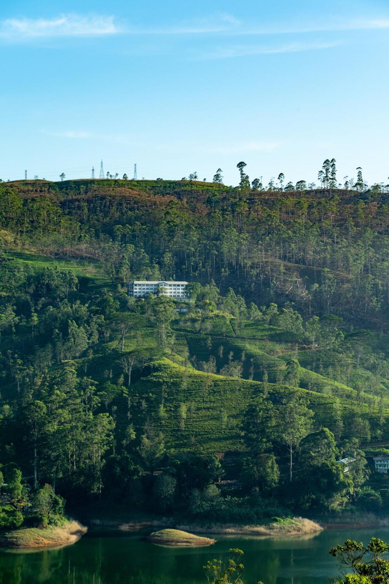 Hotel Camellia Hills Hatton Exterior foto