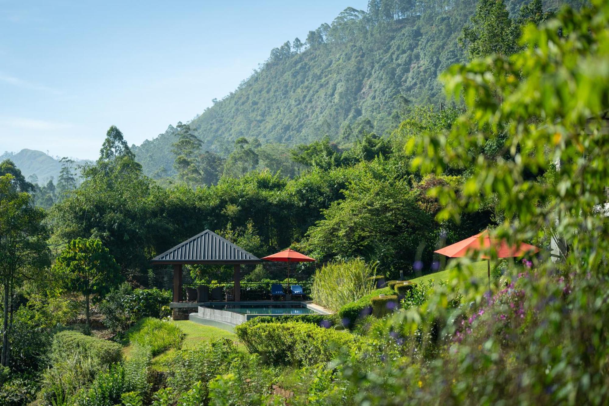 Hotel Camellia Hills Hatton Exterior foto